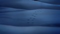 Footprints HIS1.png