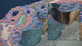 Lental Seafloor Undersea 2.png