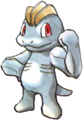 066Machop TCG.png